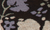 Neutral Floral Pack
