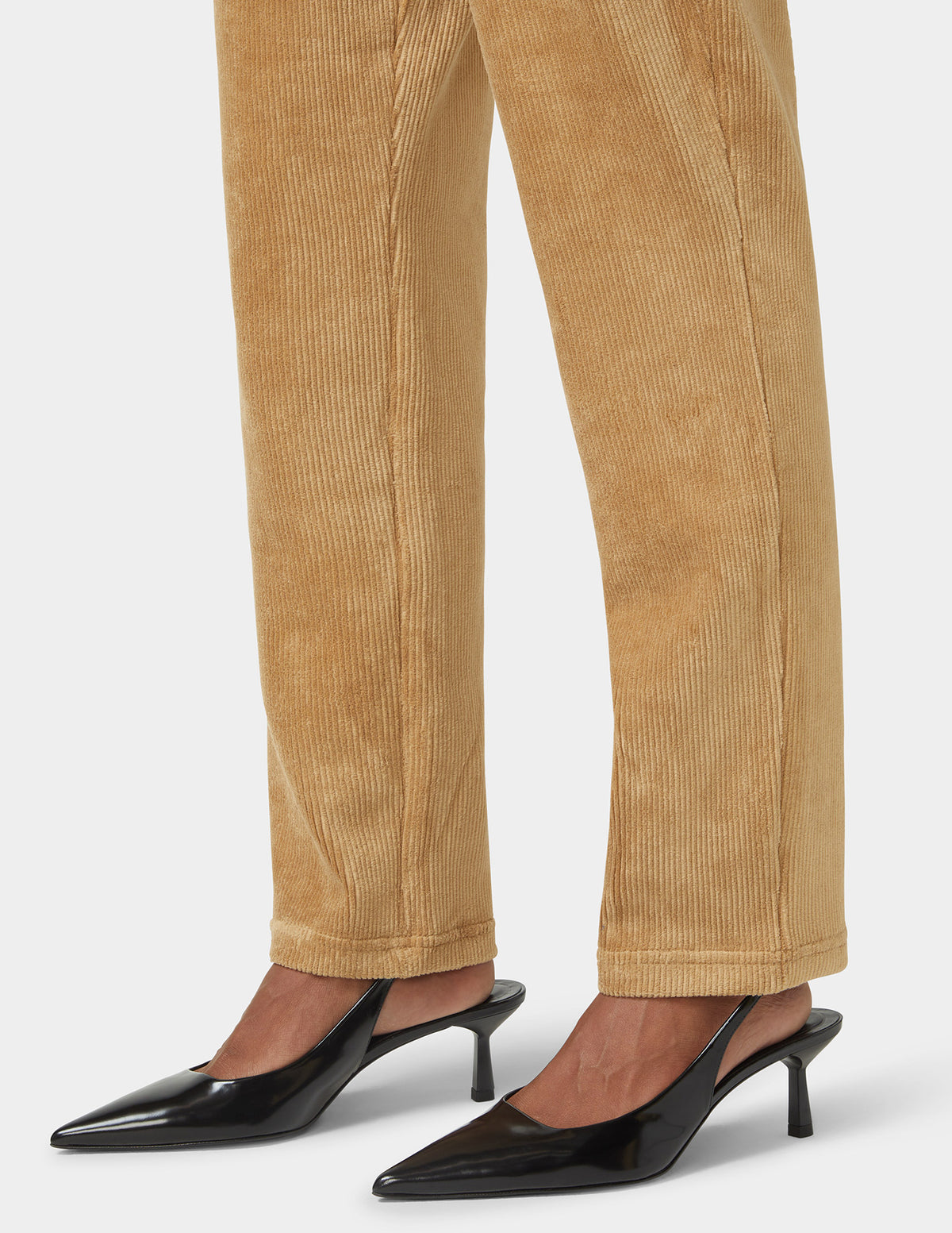 HUE Plush Corduroy Tapered Pants
